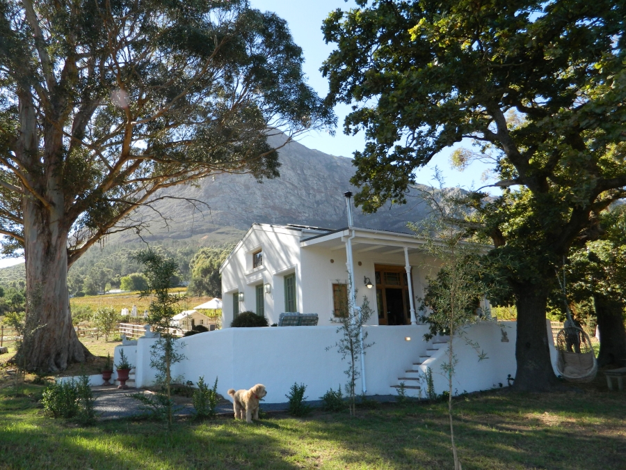 To Let 1 Bedroom Property for Rent in Franschhoek Western Cape